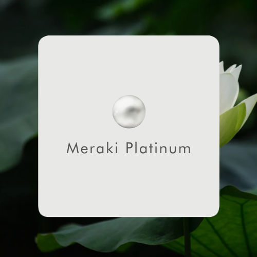 Meraki Platinum - Spa Membership